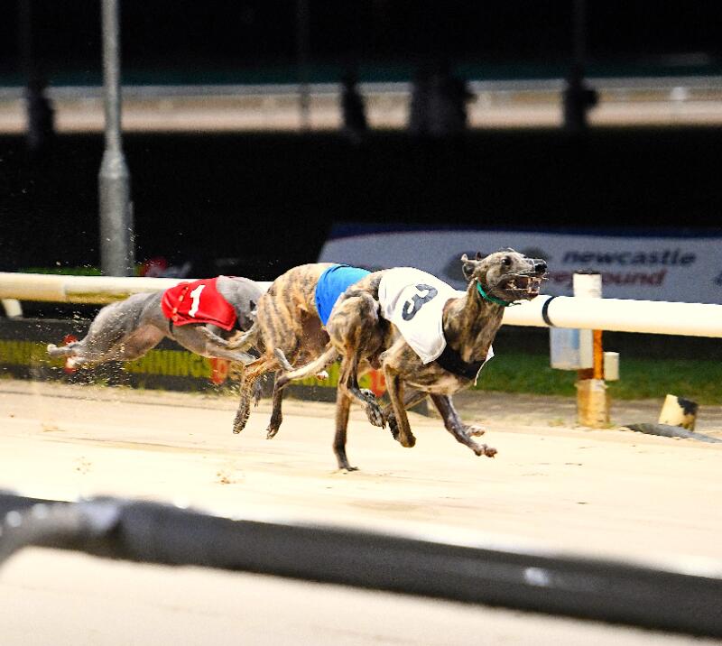 newcastle gift vouchers