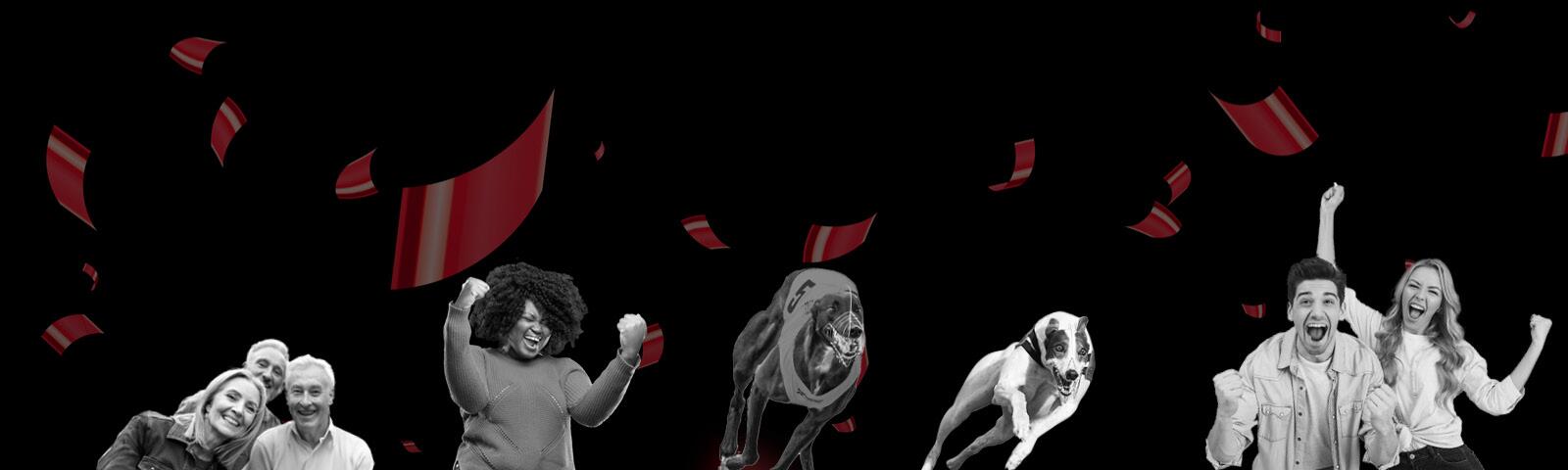 Black Friday Greyhound Campaign Artwork