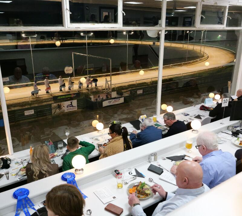 newcastle greyhound stadium 2026