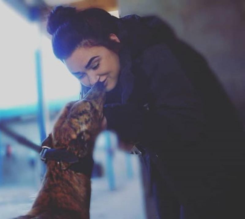 Staff with Greyhound 