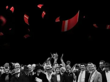 Black Friday Campaign Artwork