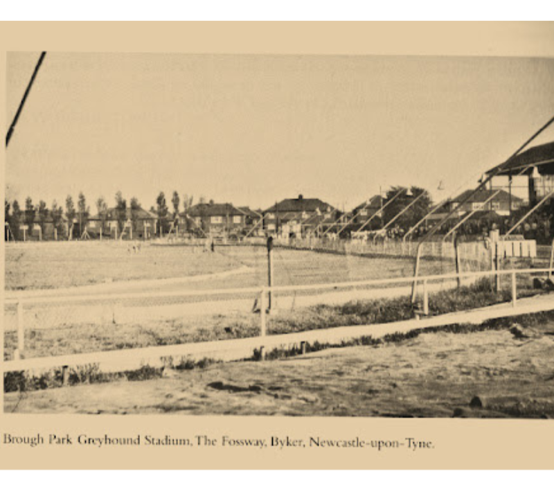 original image of newcastle brough park